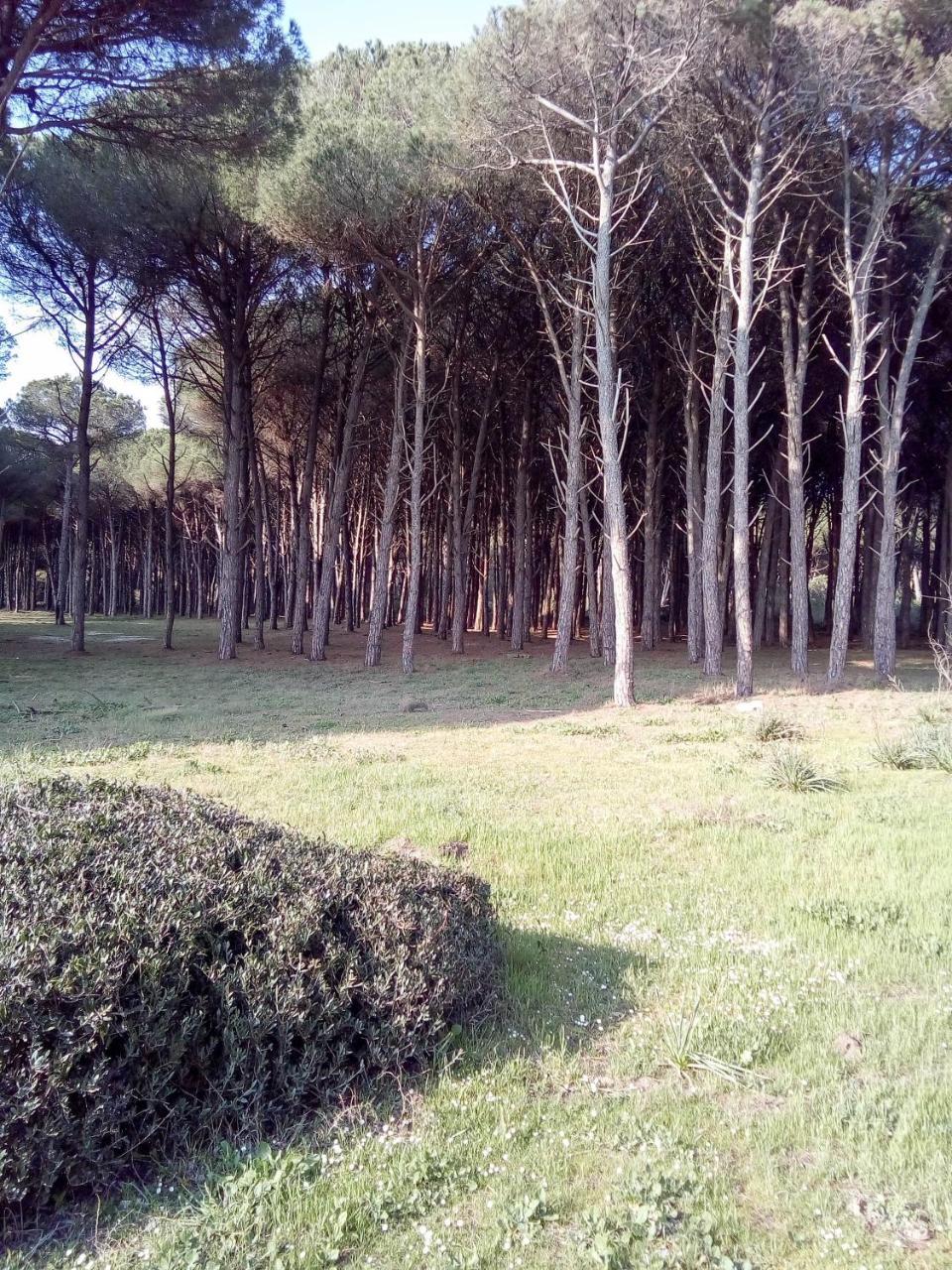 Hotel Grazia אבולי מראה חיצוני תמונה